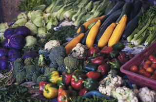 Grocery Pest Control Cochrane